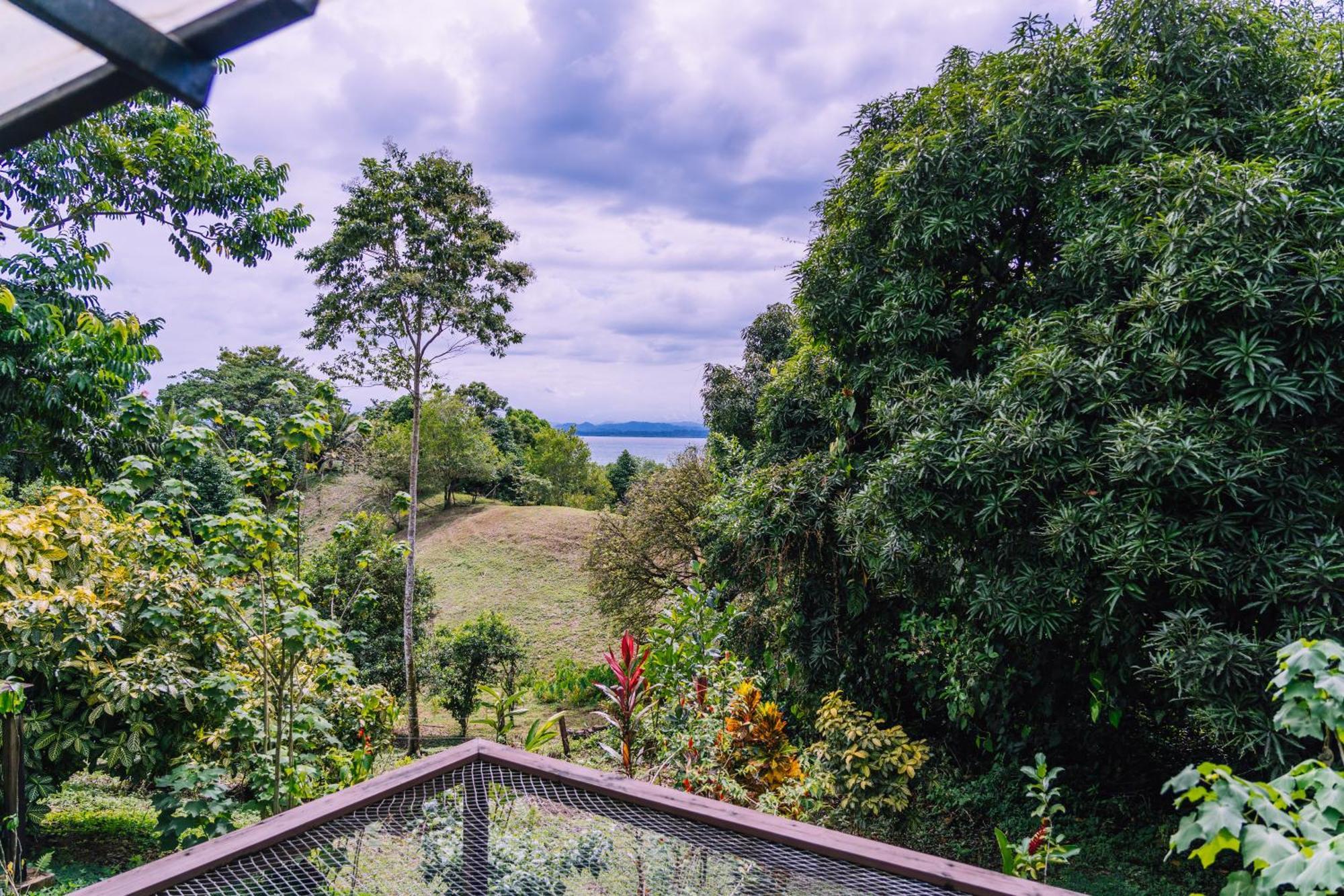 Bambuda Lodge Solarte Cameră foto